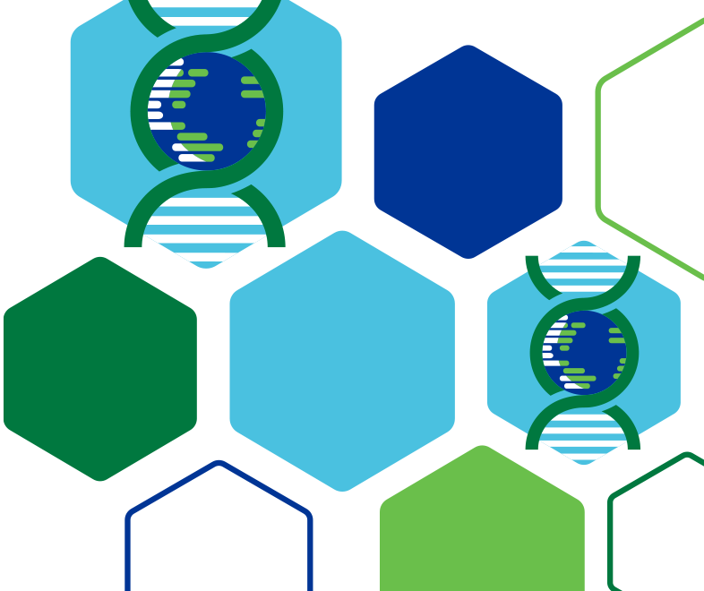 various hexagons and rareguru logo
